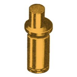 Pion